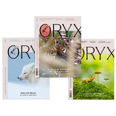 La Radio del Somormujo - Prog 241 Revista Oryx