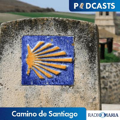 Camino de Santiago 29/09/24