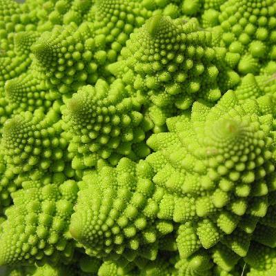 Rising Tide Protestival 2025 - John Wurcker - 2025-11-21 BTL