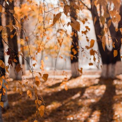 "The Colors That Were Always There" by Nathan Meckley "The Colors That Were Always There" by Nathan Meckley
