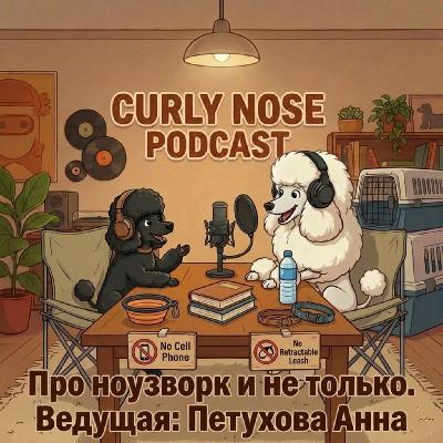 Ноузворк-дебют: всё, что нужно знать о первых соревнованиях