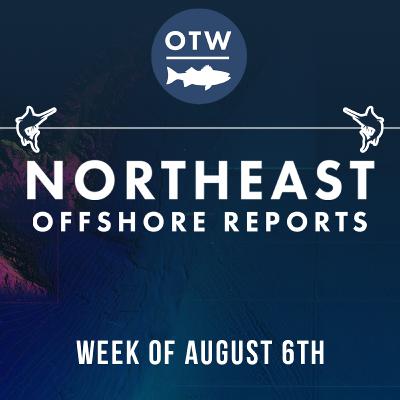 Finicky Tuna and Big Money Billfish | Northeast Offshore Fishing Report August 6th 2025 Finicky Tuna and Big Money Billfish | Northeast Offshore Fishing Report August 6th 2025