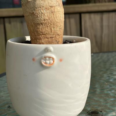 第四十五天是快樂到不行的啊！好想大聲的笑和跳舞