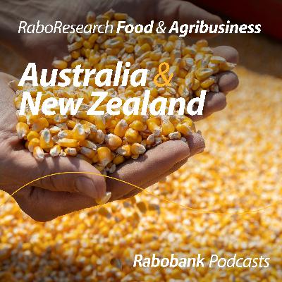 Will Brazilian corn farmers be the biggest price headache for Australian sugar producers?! Will Brazilian corn farmers be the biggest price headache for Australian sugar producers?!