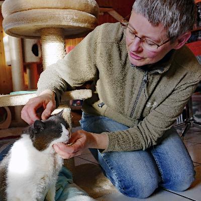 Was bedeutet Miauuuuu?