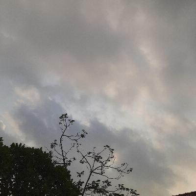 Principle and Importance of Health Education