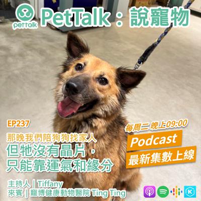 EP237｜那晚我們陪狗狗找家人：但牠沒有晶片，只能靠運氣和緣分 feat. Ting Ting