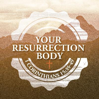 Your Resurrection Body Your Resurrection Body