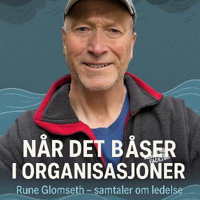 Når det blåser i organisasjoner – ledelse i turbulente tider