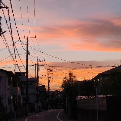 MONO NO AWAREの「花粉」たくさん聞いたGW