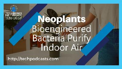 How Neoplants is Enhancing Nature Through Innovative Air Purification How Neoplants is Enhancing Nature Through Innovative Air Purification