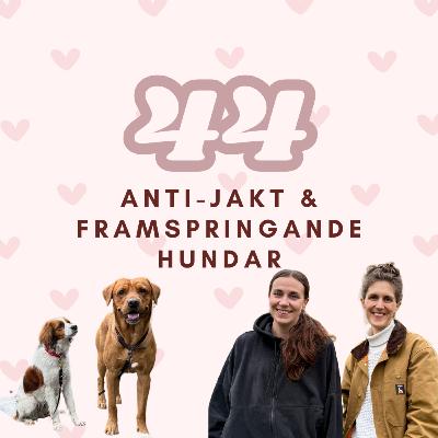 44. Anti-jakt och framspringande hundar