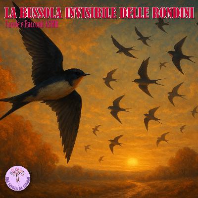 La Partenza delle Rondini – La Bussola Invisibile del Cielo