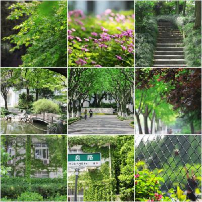 历史人文咖║邂逅复旦校花的100种方式