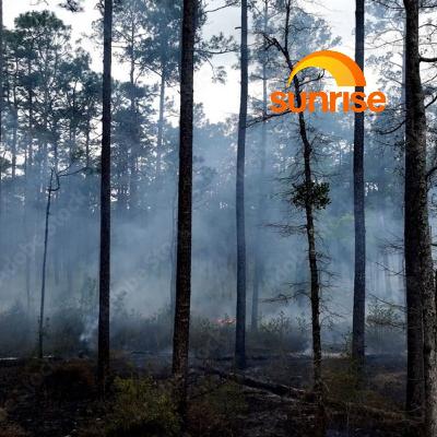 Weather warning: Fire risk rising