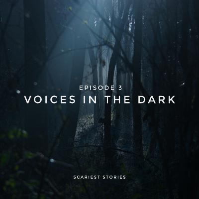 S1E3 - Voices In The Dark