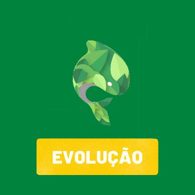 EVOLUÇÃO #3