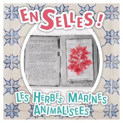 Episode 3 - les herbes marines animalisées Episode 3 - les herbes marines animalisées
