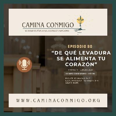 Episodio 80 - De qué levadura se alimenta tu corazón (VI semana del Tiempo Ordinario)