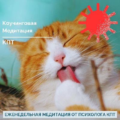 Коучинговая Медитация До Конца Года Коучинговая Медитация До Конца Года