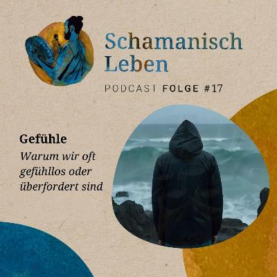 Warum wir oft gefühllos oder überfordert sind Warum wir oft gefühllos oder überfordert sind