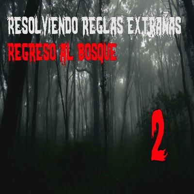 Trabajo resolviendo reglas extrañas - Regreso al bosque - Parte 2