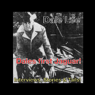 Dale Lee's first Jaguar! Dale Lee's first Jaguar!