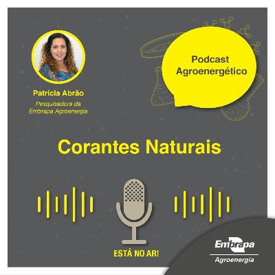 Corantes naturais - Patrícia Abrão - Pesquisadora da Embrapa Agroenergia
