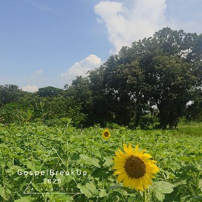 El gospel del cielo a tu Corazón El gospel del cielo a tu Corazón