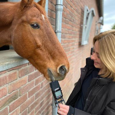 Paardencoach Dorris Vlas over non-verbale communicatie Paardencoach Dorris Vlas over non-verbale communicatie