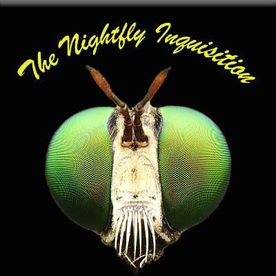 Dr. Karlyn Borysenko and her wild ride through 2020 politics