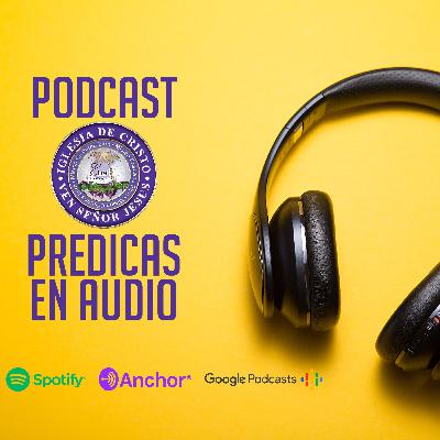 LOS 4 EVENGELIOS LECCIÓN #5