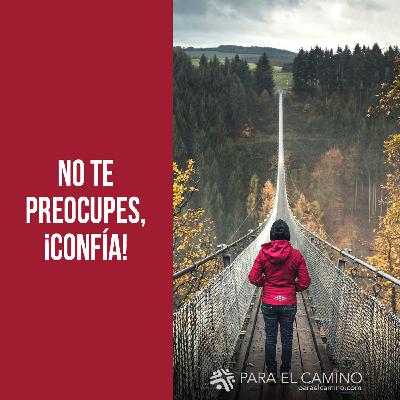 No te preocupes, ¡confía! No te preocupes, ¡confía!