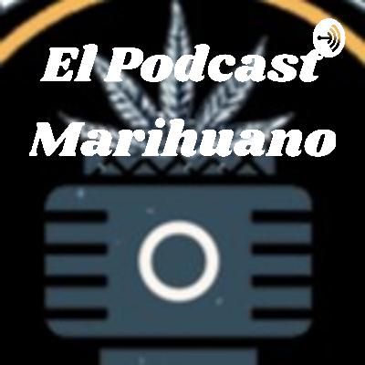 El Podcast Marihuano - "Reglamentación medicinal" México. El Podcast Marihuano - "Reglamentación medicinal" México.