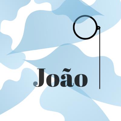 JOÃO- HOLDING - WINNICOTT