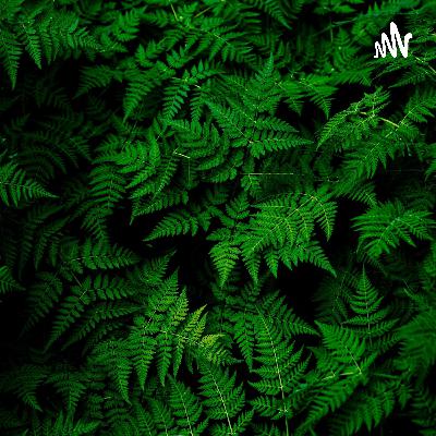 Podcast Inglés método miyawaki