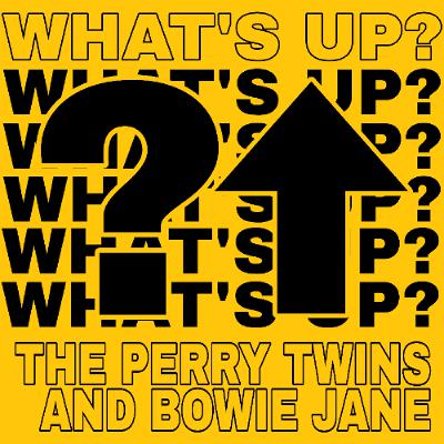 What's Up -  The Perry Twins and Bowie Jane (Vocal Dub)
