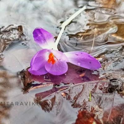 ಬಳುಕುವ ನದಿಯೊಂದು...