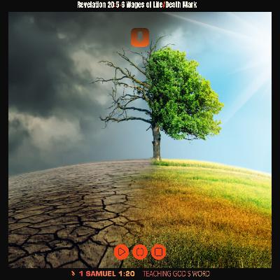 Revelation 20:5-6 Wages of Life/Death Mark
