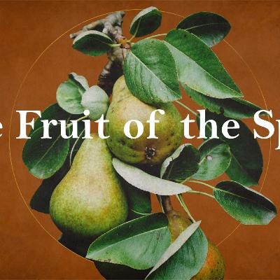"Fruit of the Spirit, Patience" pt4 - Slate Moore