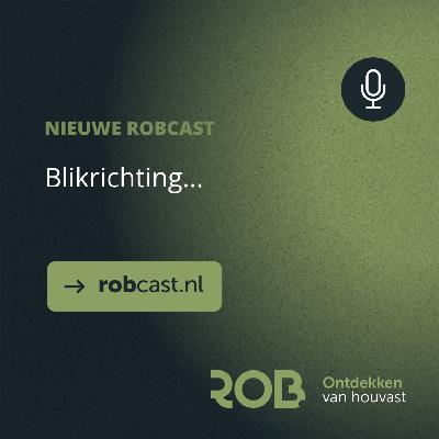 Blikrichting...