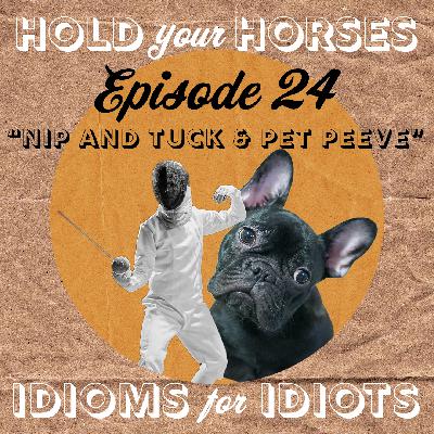 Episode 24. Nip and Tuck