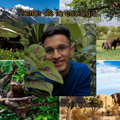 Ramas de la ecología