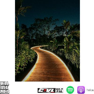 Chill Rose Radio #285|| For The Summer Nights