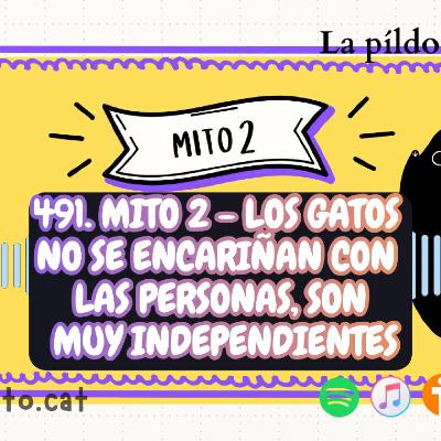 491. Mito 2 - Los gatos no se encariñan con las personas, son muy independientes