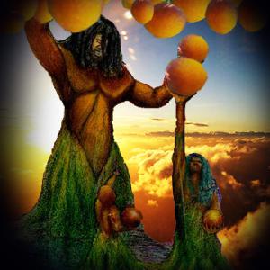 MUSICOLOGY PREACHA MAN W_DESTINY STORM