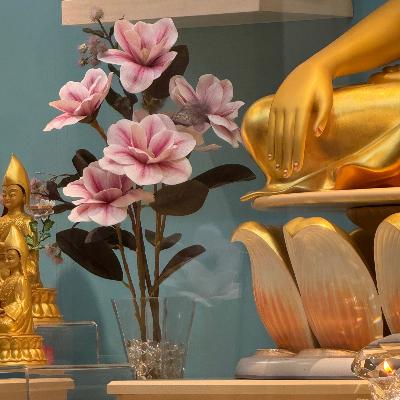 Sorpresas no bienvenidas