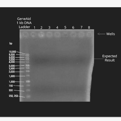 Review 1 SG Mikro: Prospek Kerja Sarjana Mikrobiologi, Apa Saja Ya?