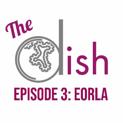 Episode 3: EORLA - Gregory Doiron and Anas Gharra Episode 3: EORLA - Gregory Doiron and Anas Gharra
