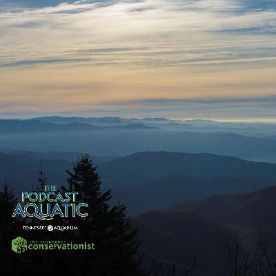 Spooky Season Special: Appalachian Animal Mythbusters